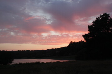 Obraz premium Bewl water lake sunset England