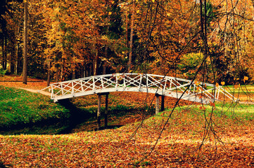 Autumn landscape- white wooden bridge in the autumn park among the yellowed autumn trees