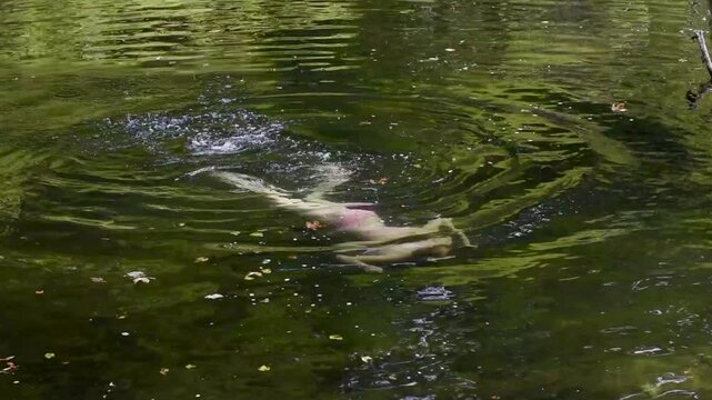Slow motion top down angled view of a young caucasian teenage girl swimming underwater in a river