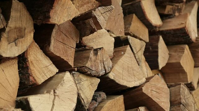 A wall of chopped logs is stored stacked. 