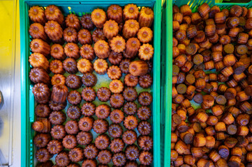 Canele, French pastry flavored with rum and vanilla, specialty of Bordeaux region, France