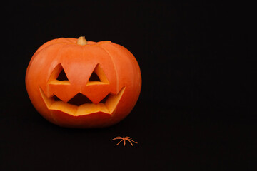 orange halloween pumpkin on a black background. dark background for halloween