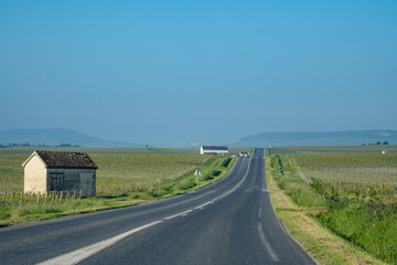 Naklejka premium Driving car on green grand cru vineyards near Avize, region Champagne, France. Cultivation of white chardonnay wine grape on chalky soils of Cote des Blancs.