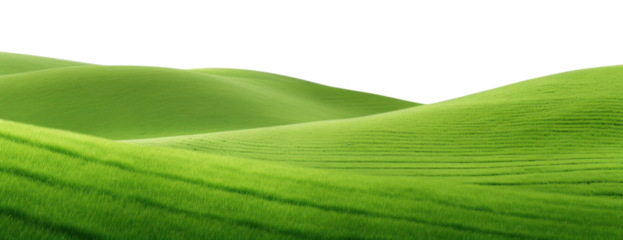 PNG Landscape green backgrounds grassland.