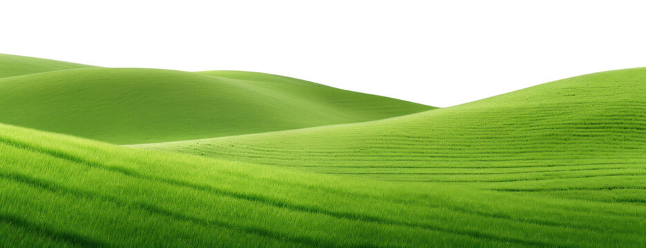PNG Landscape green backgrounds grassland.