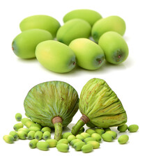 calyx on a white background