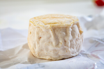 Cheese collection, soft goat French cheese with mold crottin de Chavignol produced near Sancerre on cheese farm, Loire Valley close up