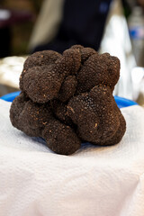 Winter truffle fair in Sarlat-le-Caneda, Perigord Noir, Dordogne, one huge black winter truffle, tasty expensive mushroom