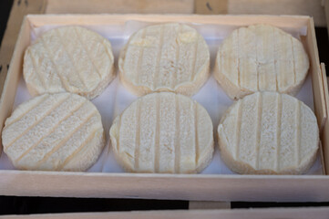 Rocamadour or cabecous soft goat AOC cheese with soft rind produced on farm in Perigord and Quercy on farmers market, departement Lot, France