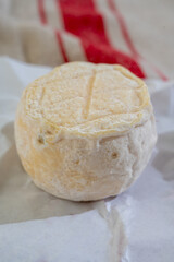 Cheese collection, soft goat French cheese with mold crottin de Chavignol produced near Sancerre on cheese farm, Loire Valley close up