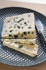 Piece of French blue cheese Roquefort, made from sheep milk in caves of Roquefort-sur-Soulzon