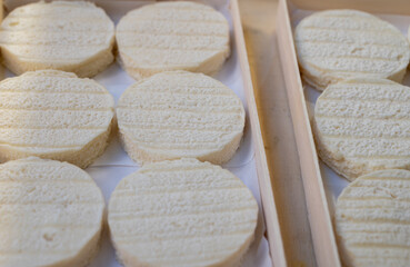 Rocamadour or cabecous soft goat AOC cheese with soft rind produced on farm in Perigord and Quercy on farmers market, departement Lot, France
