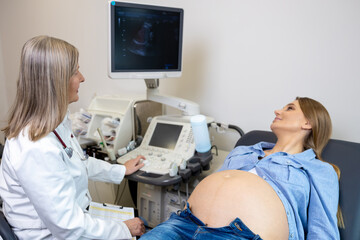 Young pregnant woman having appointment at female doctor