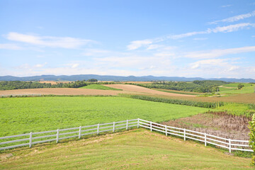 美瑛　新栄の丘