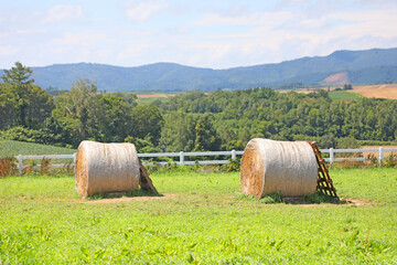 美瑛 新栄の丘の牧草ロール