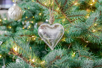 Festive decorations on the branches of blue spruce on a Christmas tree. Christmas tree decorations...