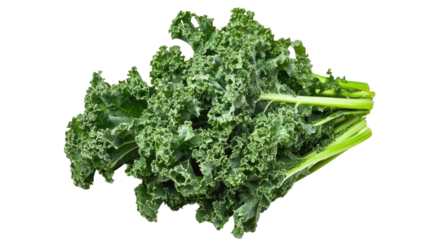 kale transparent background