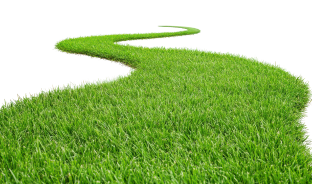 PNG Green grass curved path outdoors vegetation landscape.