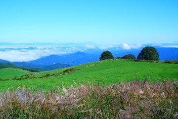阿原山高原 - 緑のじゅうたんと広がる絶景