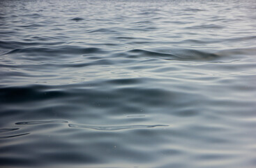 Naklejka premium Mediterranean sea