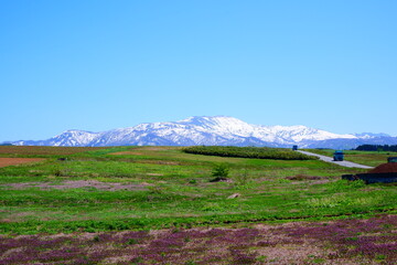 春の月山 - 雪と新緑が織りなす絶景