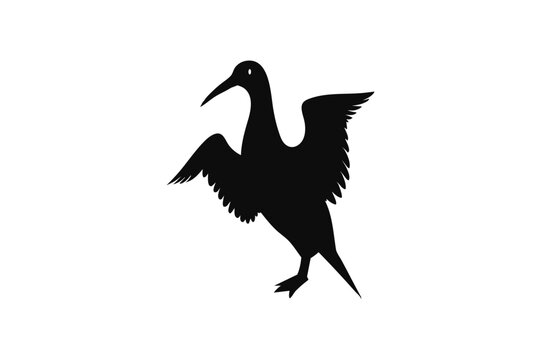 recommend clip art: Little Grebe Bird vector art and illustration
