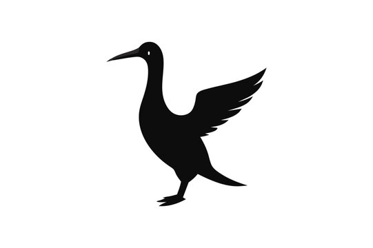 recommend clip art: Little Grebe Bird vector art and illustration