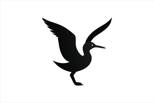 recommend clip art: Little Grebe Bird vector art and illustration