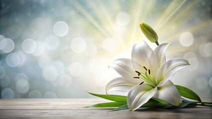 Condolence card featuring an of a lily flower in loving memory , lily, flower, condolence, card, sympathy,memory, love