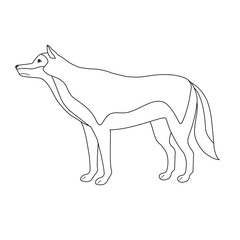 Vector flat hand drawn outline wolf isolated on white background