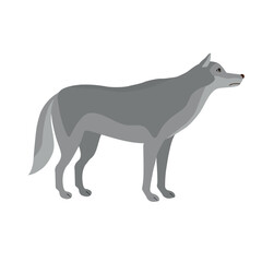 Vector flat hand drawn wolf isolated on white background