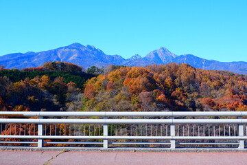 八ヶ岳を彩る美しい紅葉