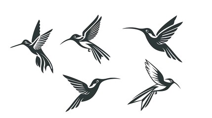 Fototapeta premium Different hummingbird line logo icon designs that highlight elegance and simplicity