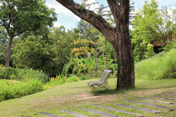 Fototapeta premium Wooden bench under the tree autumn morning with sunbeams for relaxation. Surrounded by natural beauty.