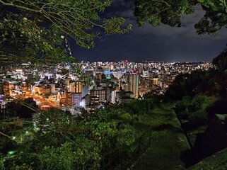 鹿児島の城山から見る鹿児島市の夜景