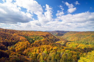 Beautiful autumn trees on the Shirakami mountainous in Aomori Tohoku Japan, the Jogakura location near Jogakura bridge