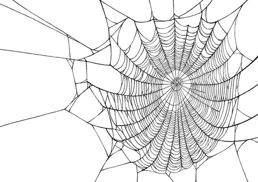 Halloween  spiderweb