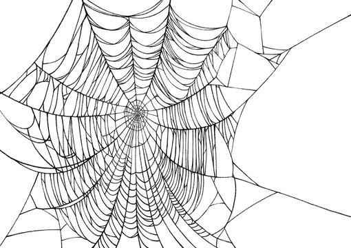 Halloween  spiderweb