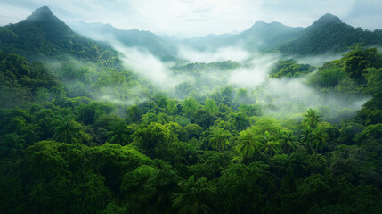 Obraz premium tropical rainforest in the Amazon filled