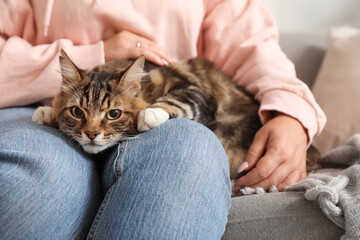 Beautiful mature woman with cute cat sitting on sofa at home, closeup
