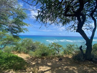 Obraz premium Hawaii sea and treas