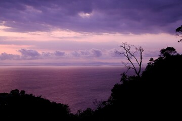 Atardecer morado