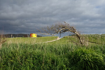 A windy and stormy day at the beach 
