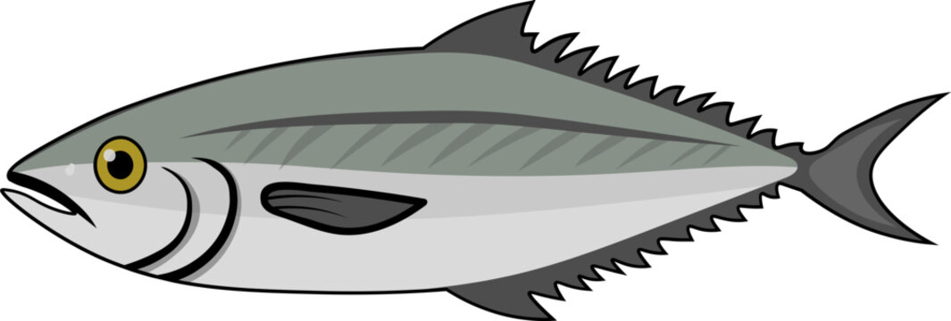 Sea fish 