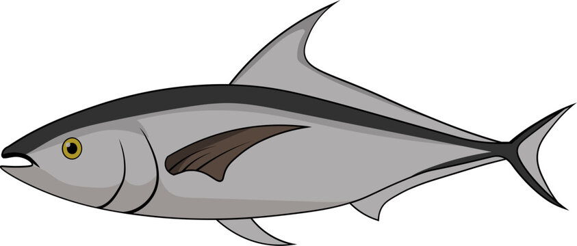Sea fish 