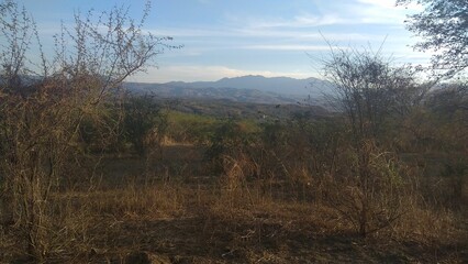 paisaje de montañas