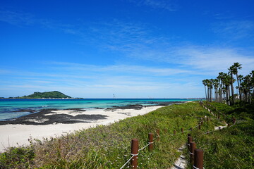 seaside walkway and fine view