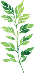 Fototapeta premium green leaves isolated