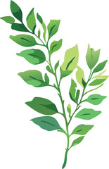 green leaves isolated