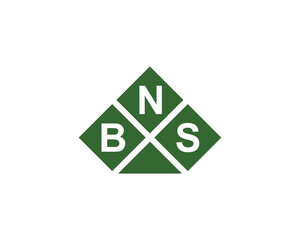 BNS logo design vector template. BNS